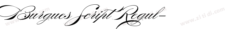 Burgues Script Regul字体转换